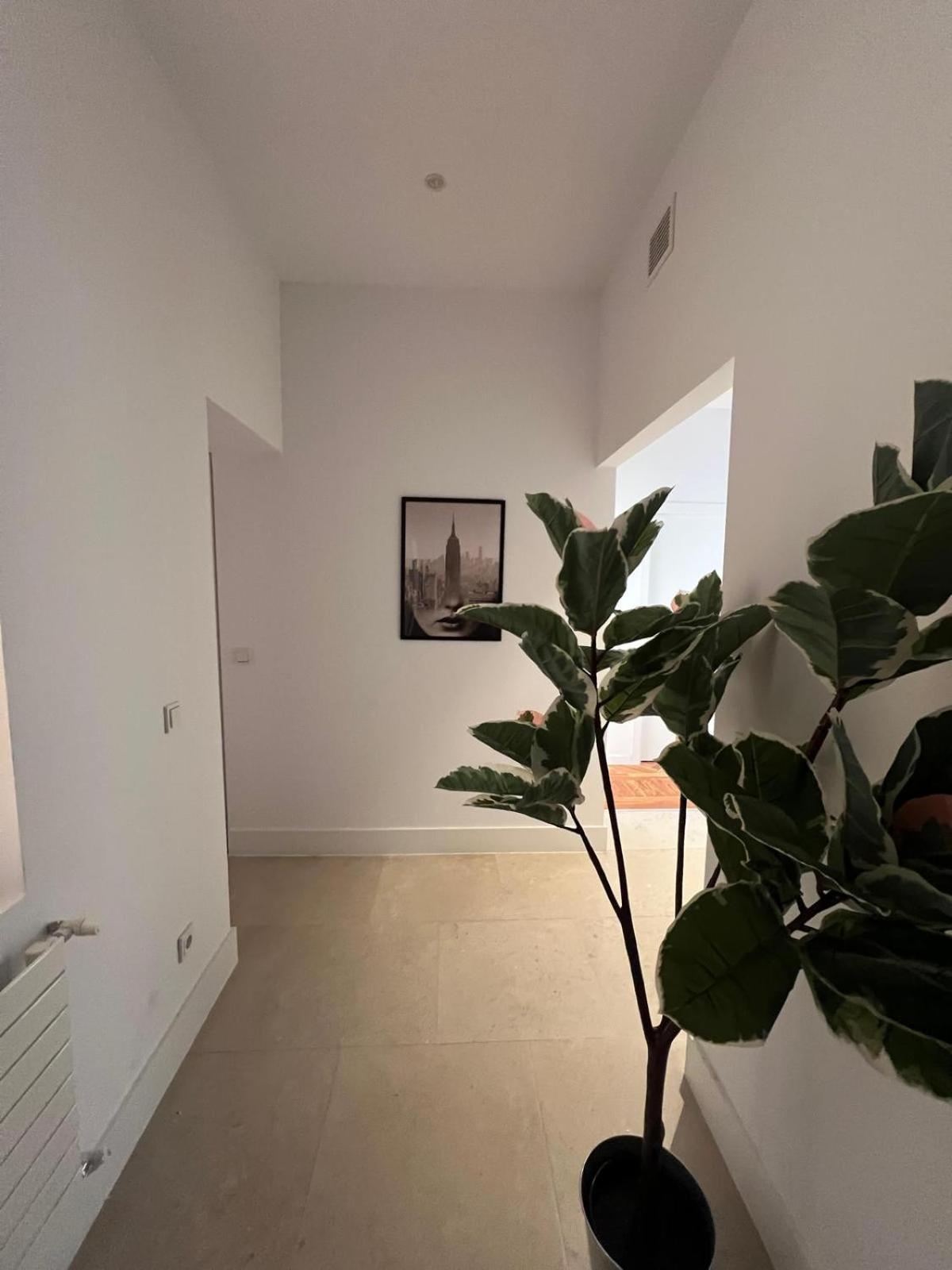 Private Rooms In Magdalena Street Μαδρίτη Εξωτερικό φωτογραφία